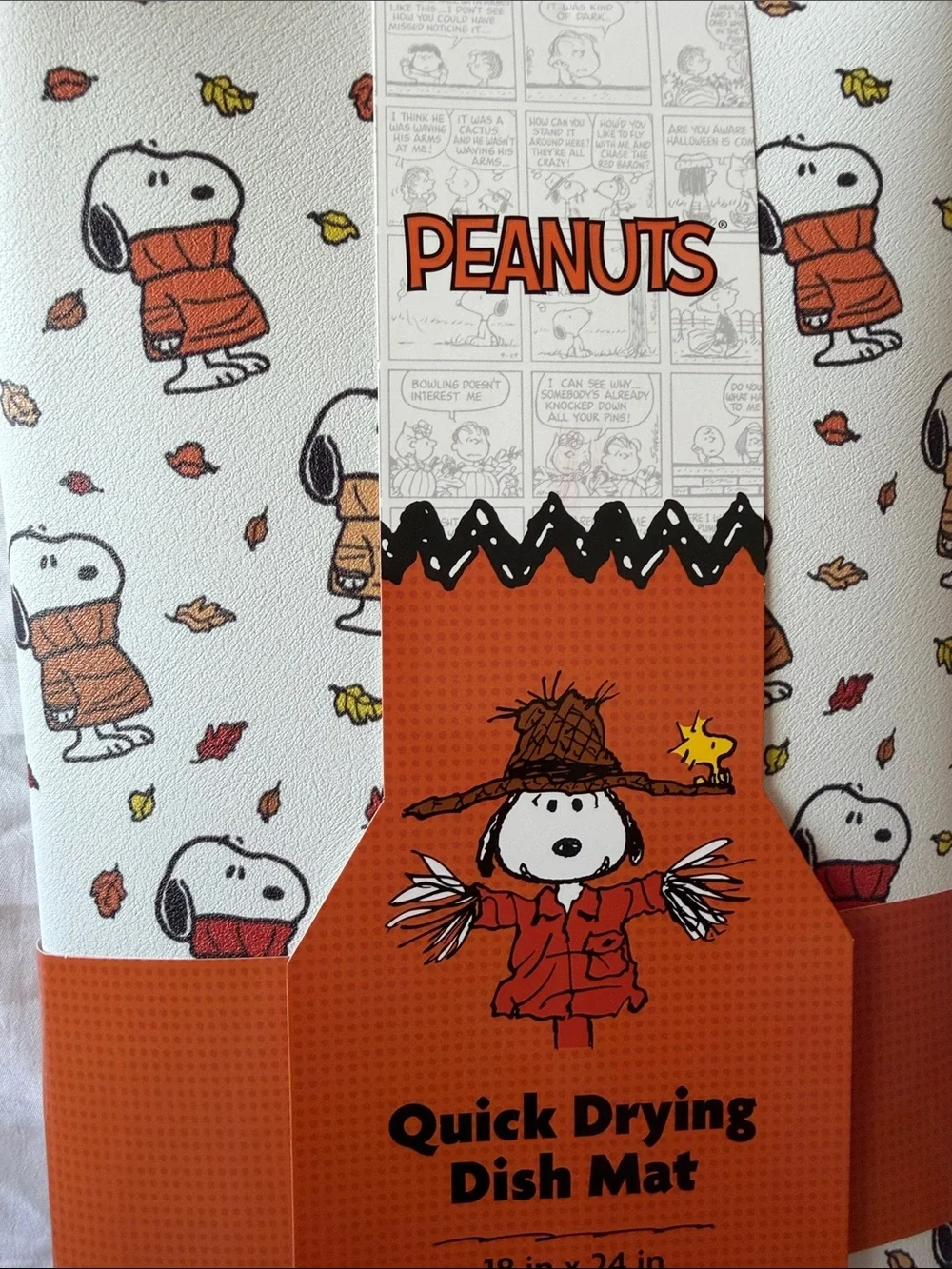 Peanuts themed dish